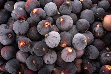 Premium Photo | Many purple figs in a crate in summer