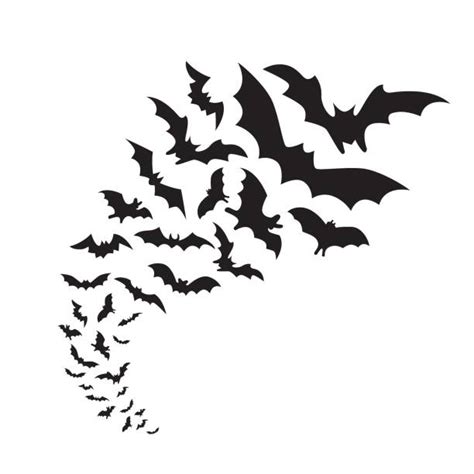 27,200+ Bats Flying Stock Photos, Pictures & Royalty-Free Images - iStock