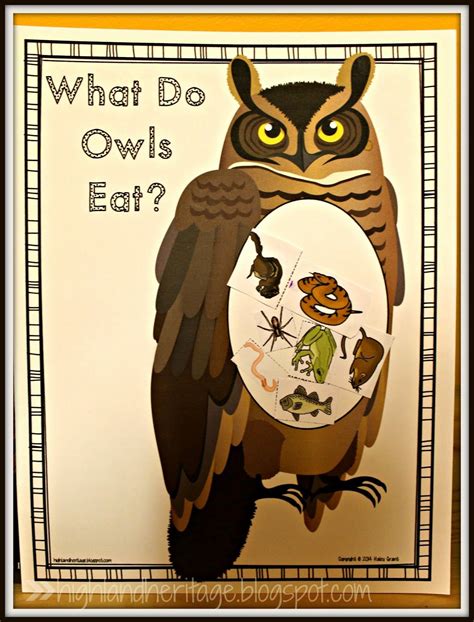 Stunning Preschool Owl Activities Worksheet Number 12