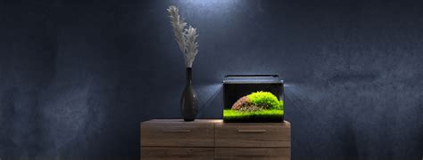 Dennerle Aquaristik - HCP Grauwild