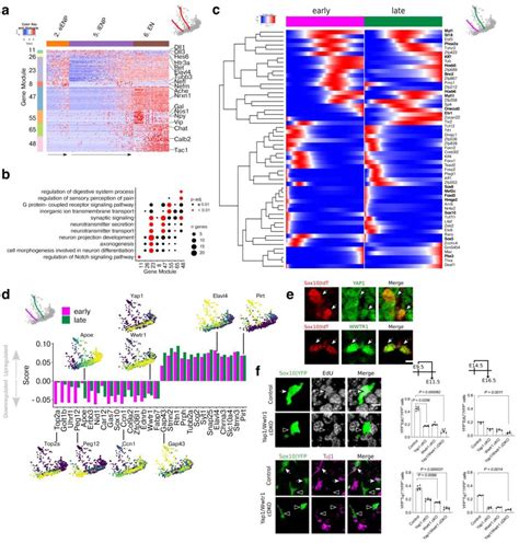 Single Cell Analysis Data Fluidigm Bioz