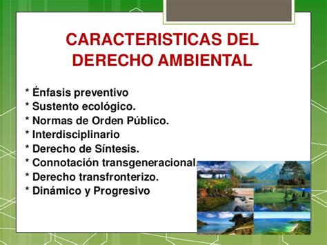 Caracter Sticas Del Derecho Ambiental