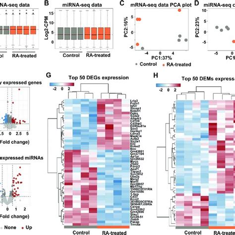 Early Ra Exposure Induced Altered Gene Expression In Developing Mouse