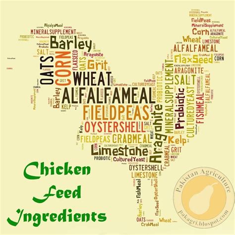 Chicken Feed Ingredients | BackYard Chickens - Learn How to Raise Chickens