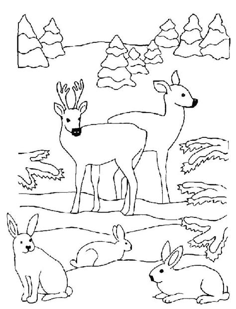 Coloriage Animaux De For T T L Charger