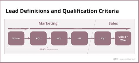 Lead Scoring Definitions And Qualification Criteria Cornel Lazar