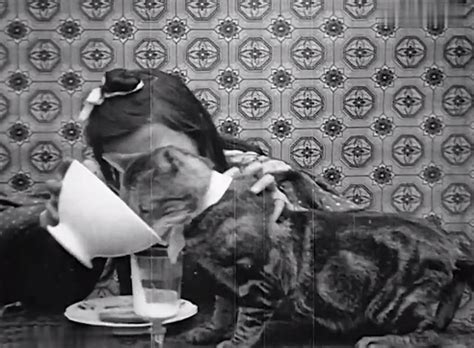 Pussy S Breakfast 1905 Cinema Cats
