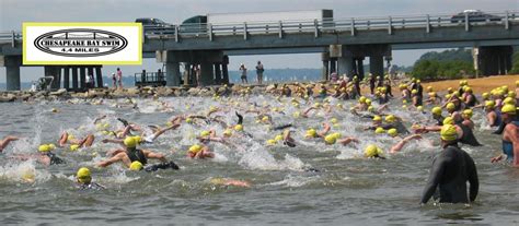 Great Chesapeake Bay 4 4 Mile Swim And 1 Mile Bay Challenge Runsignup