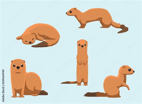 Invasive Species Small Indian Mongoose Vector Illustration Stock Vector ...