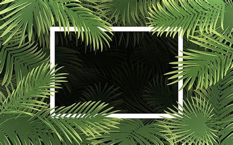 Bright Tropical Background With Palm Leaf Rainforest Flora Vibrant