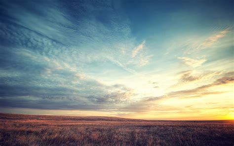 3840x2160 Resolution Green Grass Field During Golden Hour HD