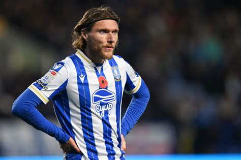 sheffield wednesday   talks  offload  year  demon