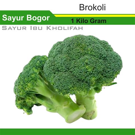 Jual Brokoli Kilo Gram Warung Sayur Sayuran Segar Online Bogor