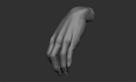 17 Female Hand Poses FlippedNormals