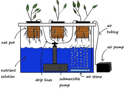 Diagram Of Hydroponic Systems How Different Hydroponics Grow