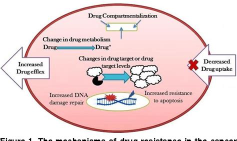 Figure 1 from The Different Mechanisms of Cancer Drug Resistance: A Brief Review | Semantic Scholar