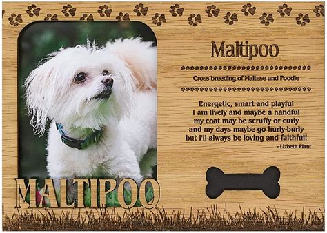 Maltipoo Engraved Wood Picture Frame Magnet Walmart