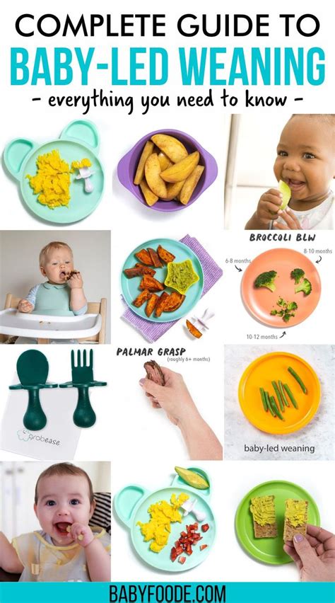 Complete Guide To Baby Led Weaning Recipes Tips More Baby Foode