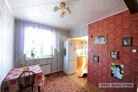 Южноуралец построил дом из бутылок от шампанско - ЯПлакалъ
