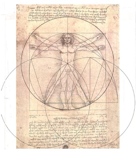 Golden Ratio In Leonardo Da Vinci