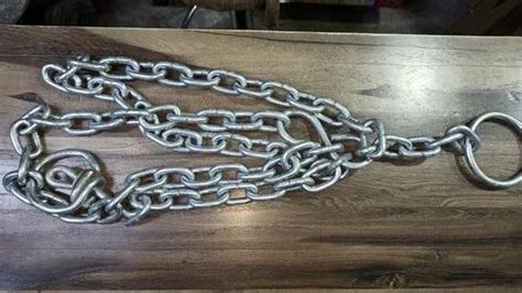 Stainless Steel Cow Chain At Rs 72kg Cow Chain In Indore Id