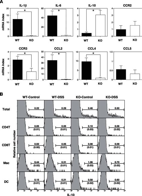 A The Expression Of Cytokines Chemokines And Their Receptor Mrna In