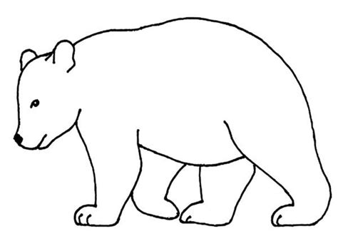 Bear Outline Picture Coloring Page Netart