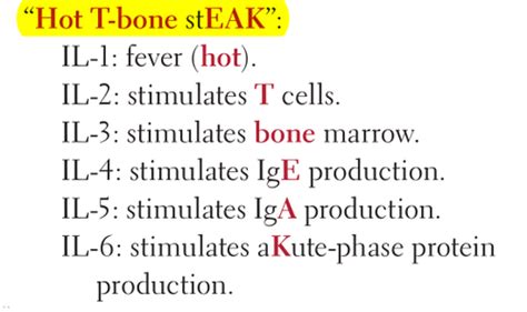 Important Cytokines Flashcards Quizlet