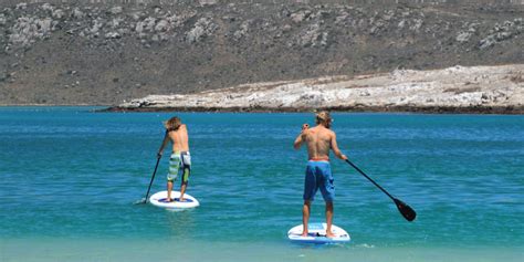 Langebaan Activities | Kite Surfing | SUP | The Farmhouse Hotel