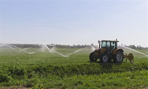 Am Rica Latina Puede Liderar La Alimentaci N Y La Agricultura Mundiales Fao