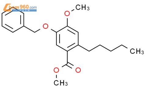 63529 43 1 Benzoic Acid 4 Methoxy 2 Pentyl 5 Phenylmethoxy Methyl