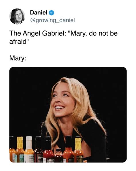 34 Funniest Sydney Sweeney Hot Ones Tweet Memes Making The Rounds Right Now