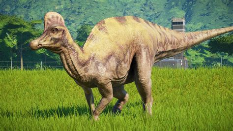 Camarasaurus Herbivore Dinosaur But Small Than Bra Jurassic World Evolution Jurassic Park 11