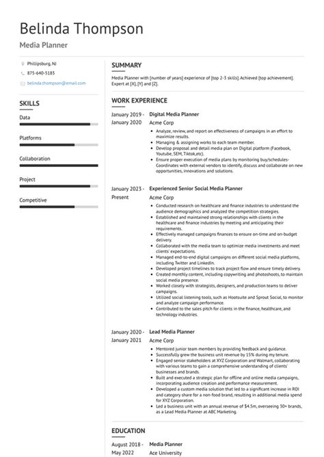 3 Media Planner Resume Examples And Templates