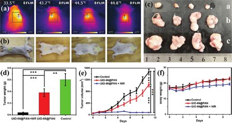 In Vivo Ptt Study A The Whole Body Photothermal Images Of Mice After