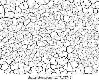 Cracks Texture White Black Vector Backgroundcracked Stock Vector ...