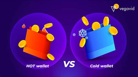 Hot Wallet Vs Cold Crypto Wallets Vegavid