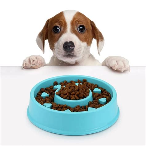 FameBeaut Strange New Anti Choking Dog Bowl Jungle Bowl Healthy Food ...