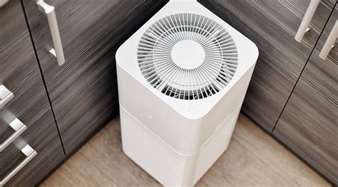 A Comprehensive Guide to Air Purifiers for Mold and Mildew Prevention