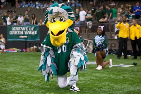 Whowhat Is Your Favorite Mascot In College Football And Why Rcfb