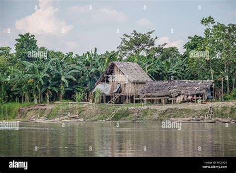 A Wooden Stilt House On The Sepik River Shore Est Sepik Province