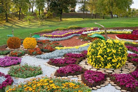 Flower Bed In A Shape Of An Apple With Colorful Chrysanthemums