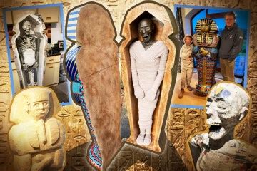Mystery over world's first 'pregnant' Ancient Egyptian mummy deepens as ...