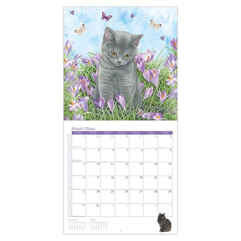 Franciens Katten Kalender Kopen Bestel Eenvoudig Online