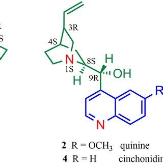 The cinchona alkaloids quinidine 1, quinine 2, cinchonine 3 and ...