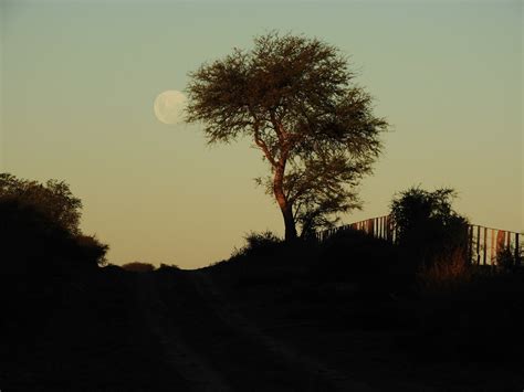 La Pampa Paisajes Free Photo On Pixabay Pixabay