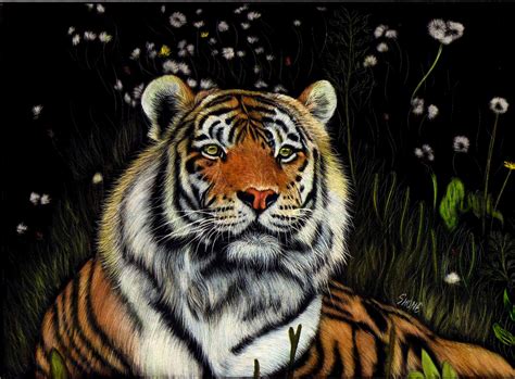 Big Cats Tigers Painting Art Snout Glance Rare Gallery Hd