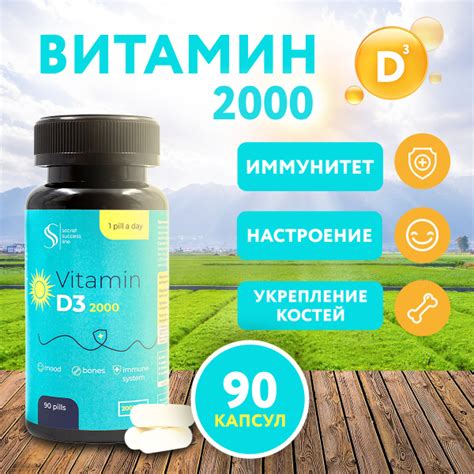 Витамин Д3, D3 2000 ME (90 капсул) SS SECRET SUCCESS LINE, Витаминный ...