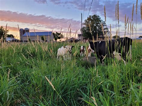 Verdant View Farm Bed And Breakfast Discover Lancaster