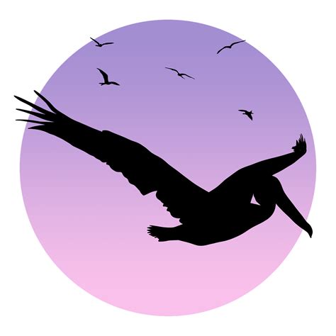 Download Bird Pelican Flying Royalty Free Stock Illustration Image
